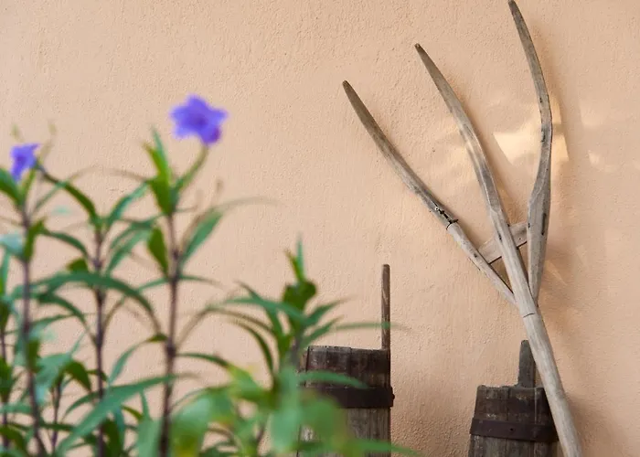 Villa Penelope Dream Pool