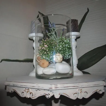 Vila Penelope Dream Pool Minia