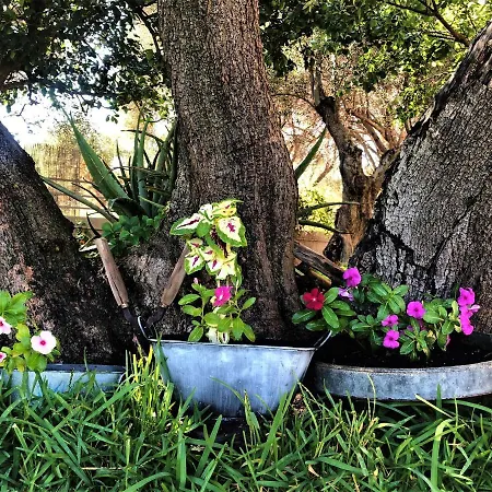 Penelope Dream Pool Vila