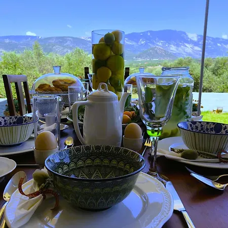 Penelope Dream Pool Vila