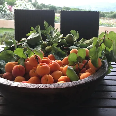 Vila Penelope Dream Pool *