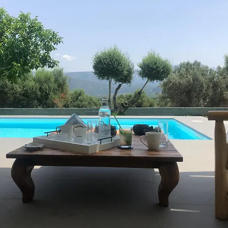 Penelope Dream Pool Vila *