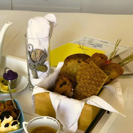 Penelope Dream Pool * Minia