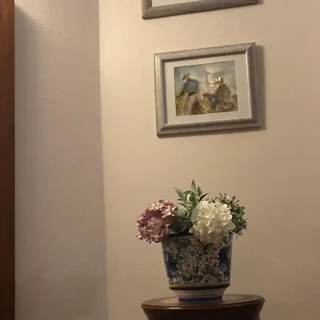 Penelope Dream Pool * Minia