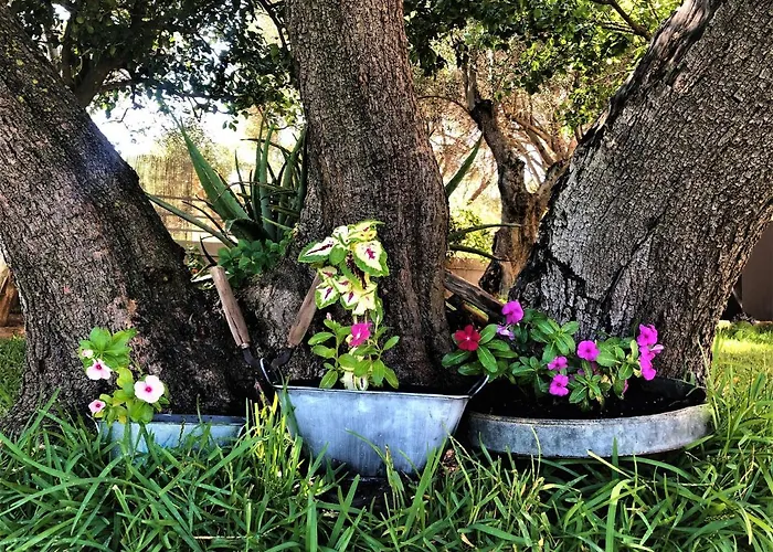 Penelope Dream Pool Villa