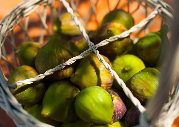 Penelope Dream Pool Villa *