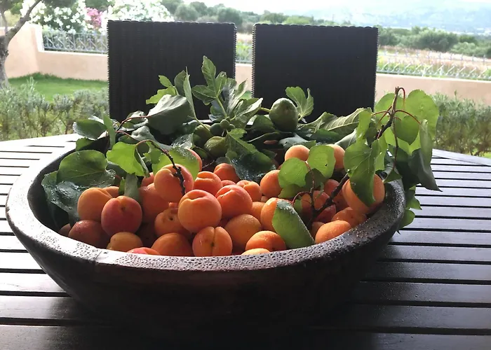 Villa Penelope Dream Pool *